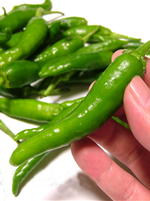 ���M�q�Ӟ��y�z60g